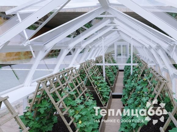 Теплица Рада Нева под стекло, ширина 2.65 метра (Калькулятор теплицы)